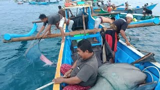 Bau Nyale ( Cacing Laut ) Di Kaliantan Lombok Timur Bersama || Guru Bajang