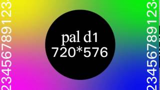 pal d1