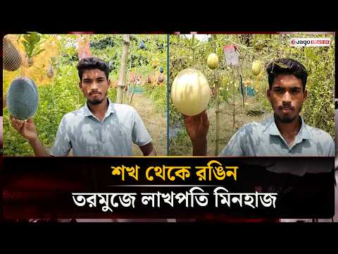 শখের বশে শুরু, রঙিন তরমুজ চাষে লাখোপতি মিনহাজ | Watermelon | Jago News