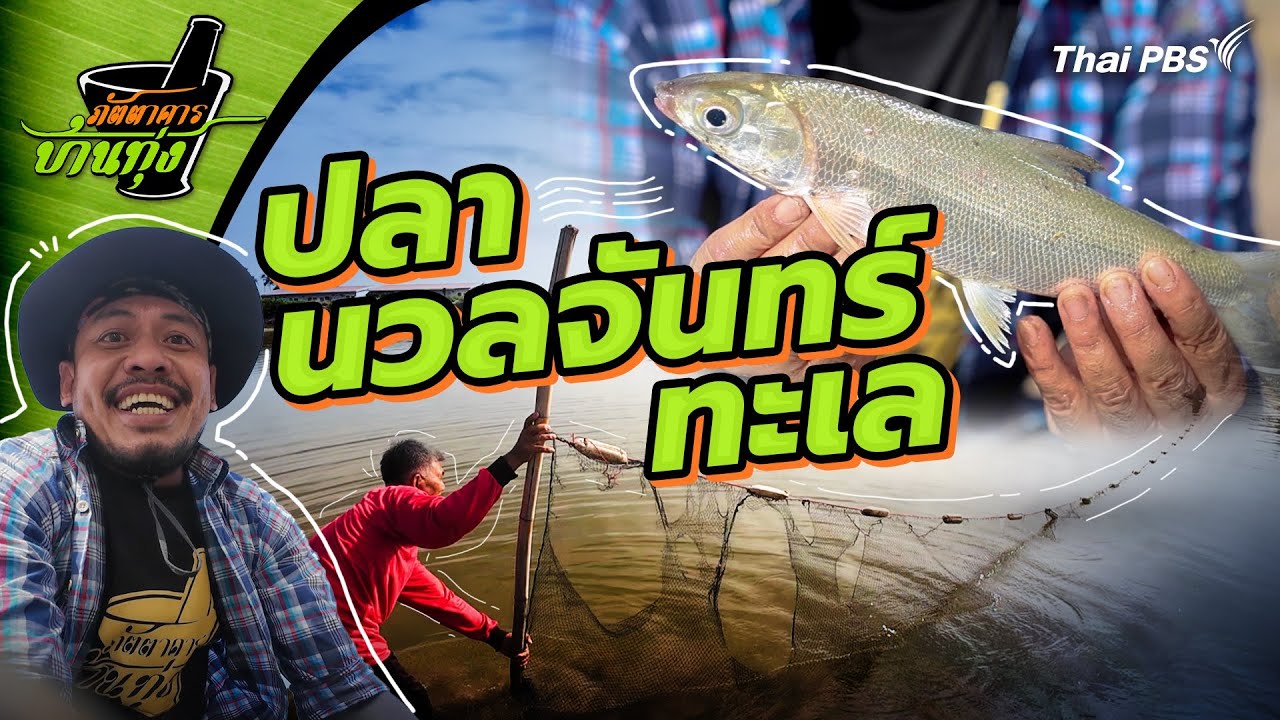 ปลานวลจันทร์ทะเล | ภัตตาคารบ้านทุ่ง