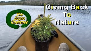 Morel Hunting – Natural Meditation – Tree Planting – Not So Wild Vlog #22 @EconoChallenge