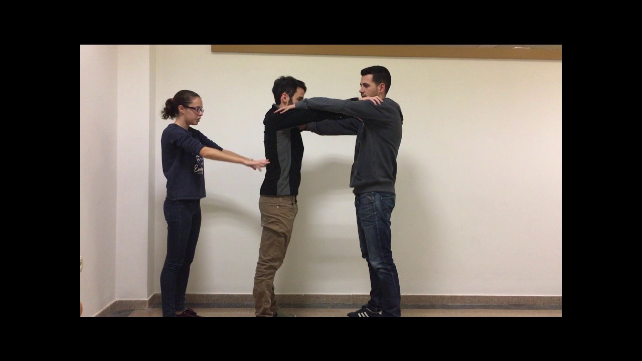 Capítol 1. Estructura dels castells