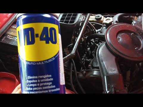 Vídeo: Posso borrifar wd40 no meu carburador?