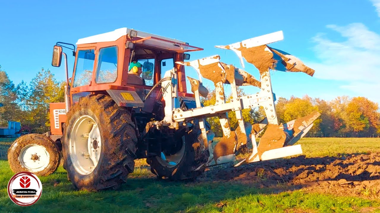 80 CAVALLI BASTANO PER UN ARATRO BIVOMERE !?