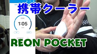 【ソニー製】冷える！温まる！まさかの両立？/REON POCKET