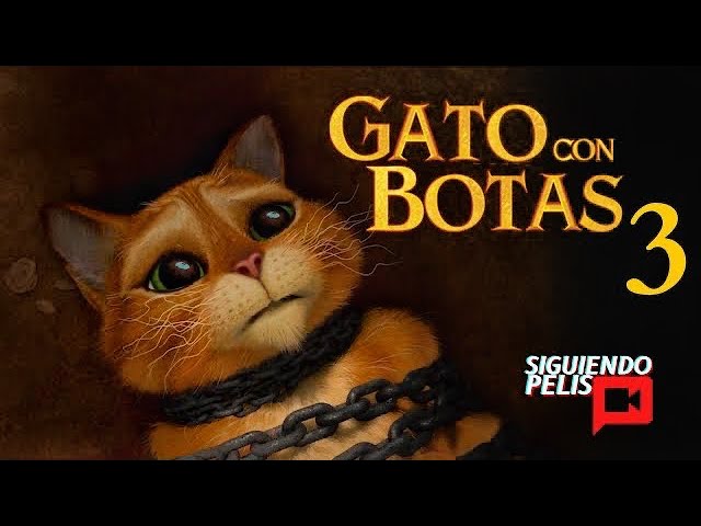 Los Mejores Videos de Gatos Chistosos 2023 #485 