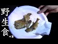 暇つぶしにブラックバスとブルーギルを食べる真夏の夜withテナガエビ