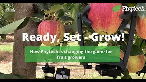 Phytech for fruit growers: A game changer