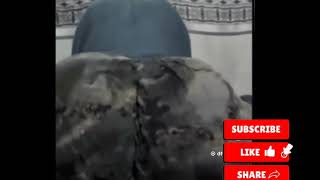 Live Niiko Somalii Live Niiko Somalii