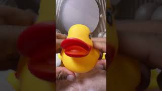 bebek besar dan kecil #videoshort