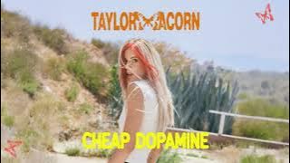 Taylor Acorn - Cheap Dopamine