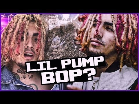 ቪዲዮ: Lil Pump Net Worth፡ ዊኪ፣ ያገባ፣ ቤተሰብ፣ ሠርግ፣ ደሞዝ፣ እህትማማቾች