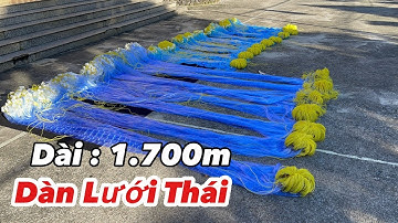 Dàn Lưới Cước Thái Xịn .Dài 1.700m |10 Tấm 2x100m 12cm và 7 Tấm Lưới Đơn 3x100m 12cm/ Cước 4.0 | VIP