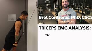 The Best Science Based Triceps Exercises for Each Head Work Your Weak Points! healthbestfit.com
