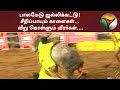 பாலமேடு ஜல்லிக்கட்டு! சீறிப்பாயும் காளைகள்... வீறு கொள்ளும் வீரர்கள்.... பாலமேடு ஜல்லிக்கட்டு! சீறிப்பாயும் காளைகள்... வீறு கொள்ளும் வீரர்கள்....