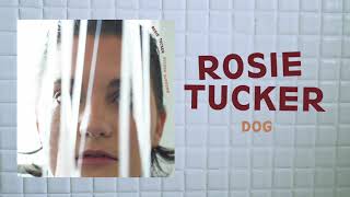 Video thumbnail of "Rosie Tucker - "Dog" (Full Album Stream)"
