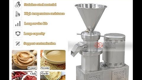 Stainless Steel Ginger Garlic Paste Grinder Grinding Machine Testing Video