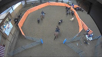 Big Sky Ranch Sorting Saddle Series #2 - #6 H/C - Round #1 - Ride #37