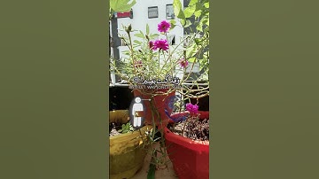 #المصحف #اكسبلور #قران كريم