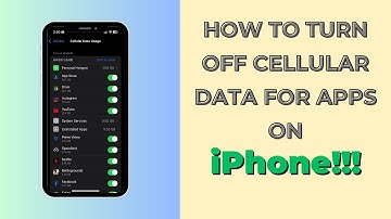 How To Turn Off Cellular Data for Certain Apps on iPhone