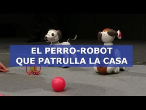 Aibo Policía, el perro-robot que patrulla la casa