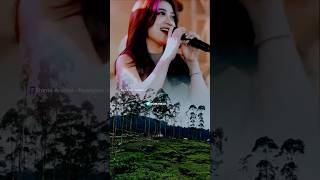 Download Lagu Shinta Arsinta - Nyanyian Rindu #musicshortvideo #shintaarsinta #nyanyianrindu MP3