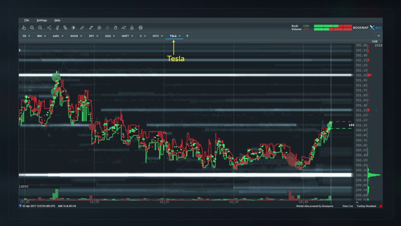 dxFeed Bookmap Market Microstructure Analysis and Visualization