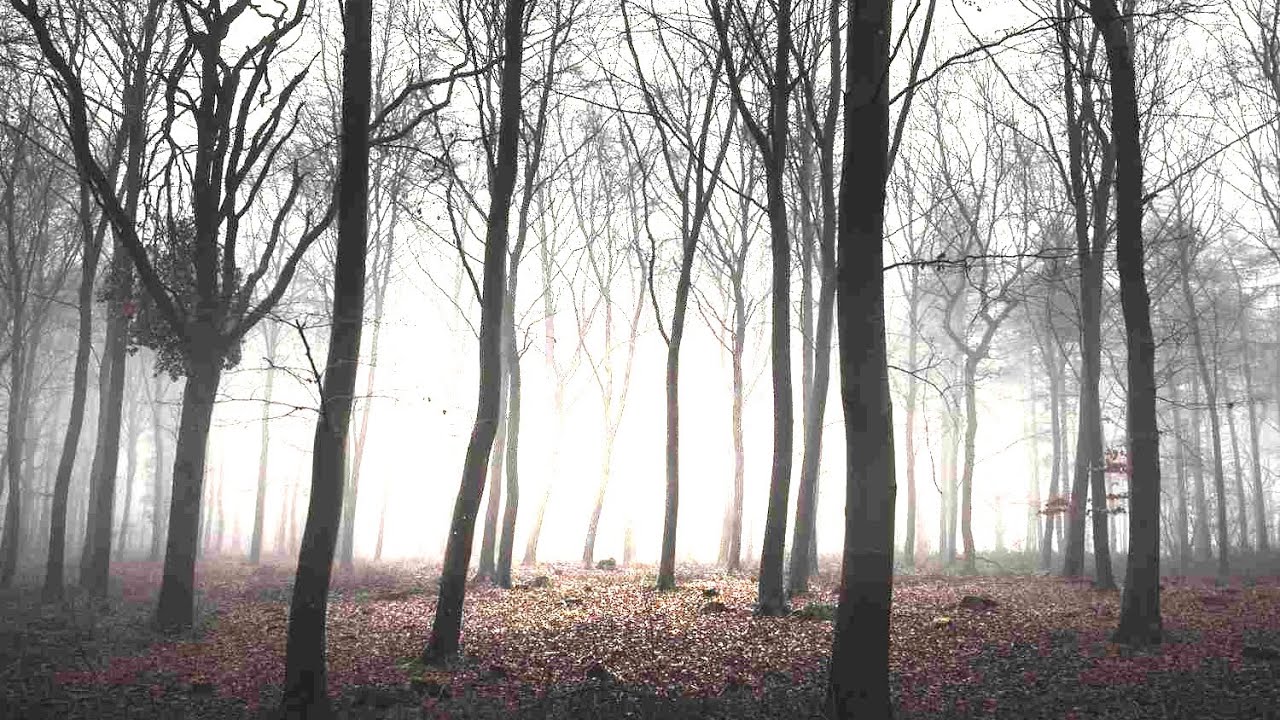 [FREE] ilykevn x 1ksoree x ayerp x wobble type beat - unkind (jarrdx)