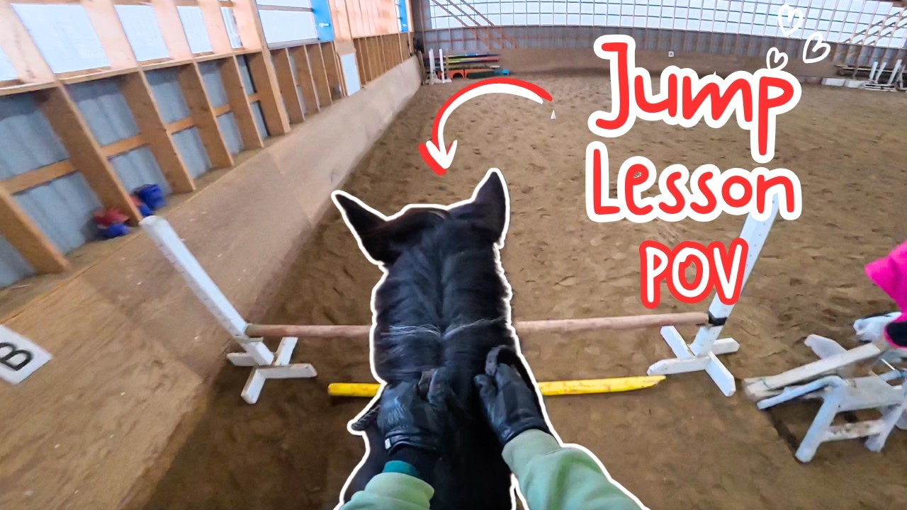 Tricky Jump Exercise! | Riding Lesson Vlog