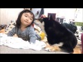ふたりでマッタリ shiba inu