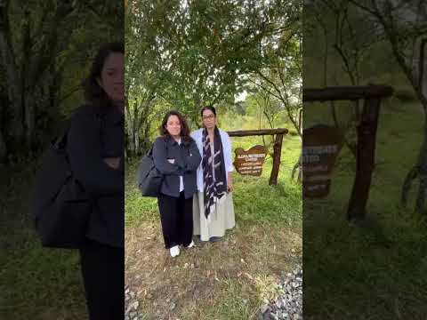Ilora Retreats guest testimonial, Masai Mara