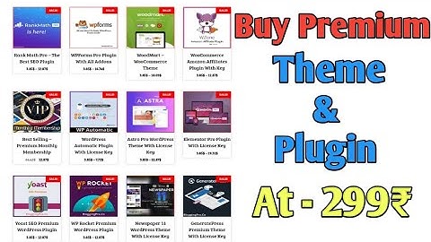 Buy Premium Theme And Pluging At Just 299 Rupees With Life Time Update | Wordpress Theme & Plugin