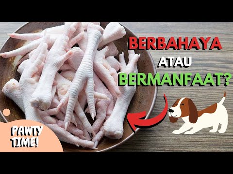 Video: Resep Peanut Butter Dog Treats Mudah-Kacang