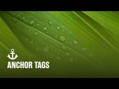 Anchor Atlas Widget