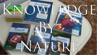 All About Reading Level 1 Homeschool Kindergarten Reading Curriculum How to Teach Your Child to Read