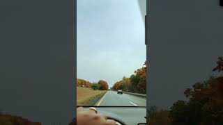 Fall