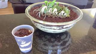 Dirt Cake! NO CREAM CHEESE !  Favorite Family Dessert!