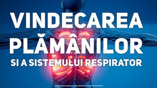 Soul Harmony 💚 Vindecarea Plamanilor si a Sistemului Respirator [ 220Hz Healing Music Video ]