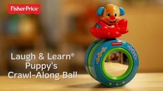 Fisher Price Laugh & Learn™ Puppy's Crawl Along Musical Ball™