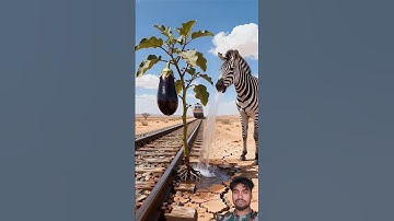 Zebra saved the brinjal tree from drying up by watering it 😭 #ai #save #tree #zebra