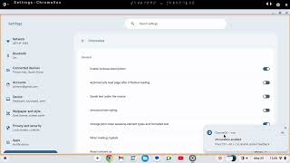 ChromeVox (spoken feedback LD 3)