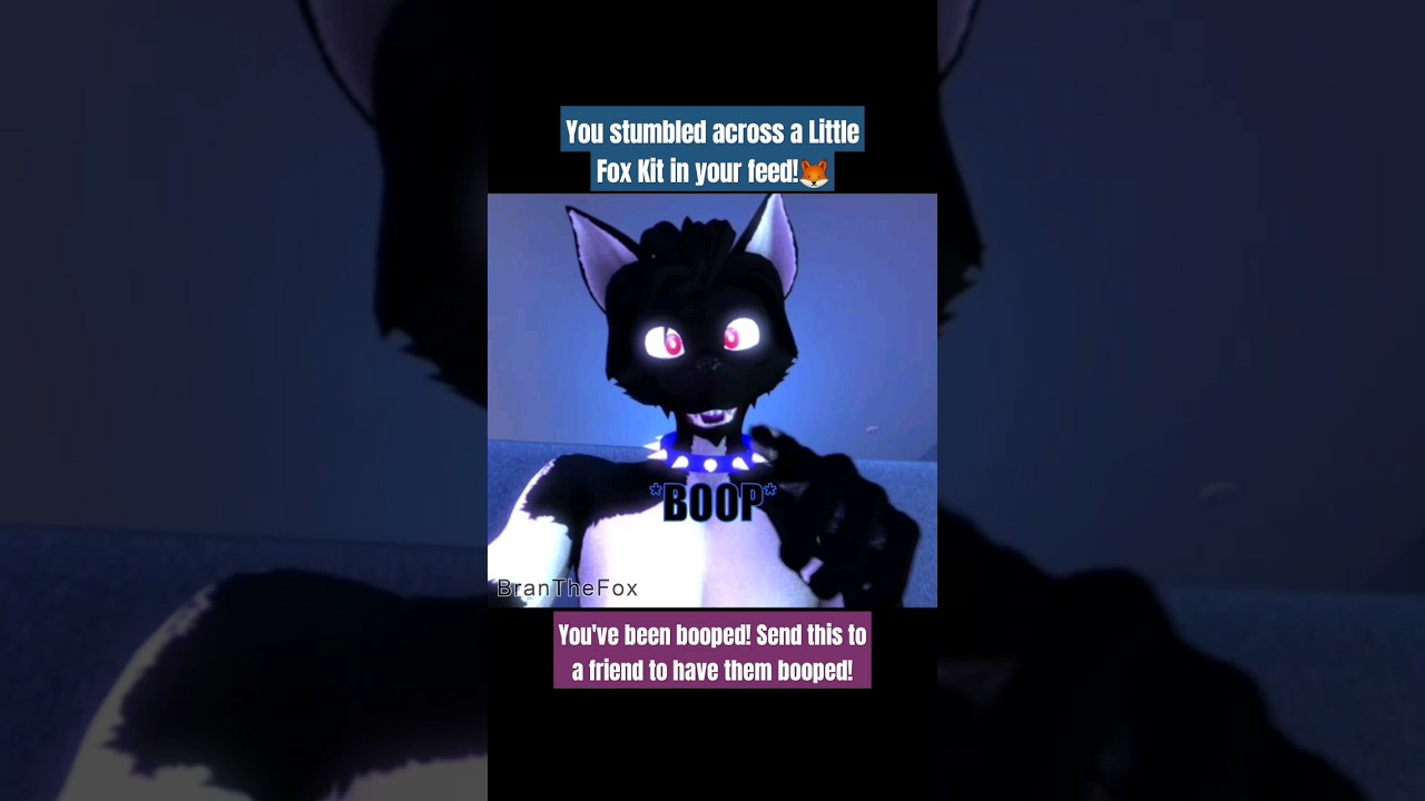 You've Been Booped! :3 (SFM) 