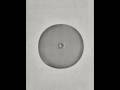 Stainless Steel French Press Replacement Filter Mesh Screen | Coffee Maker Parts OEM ODM
