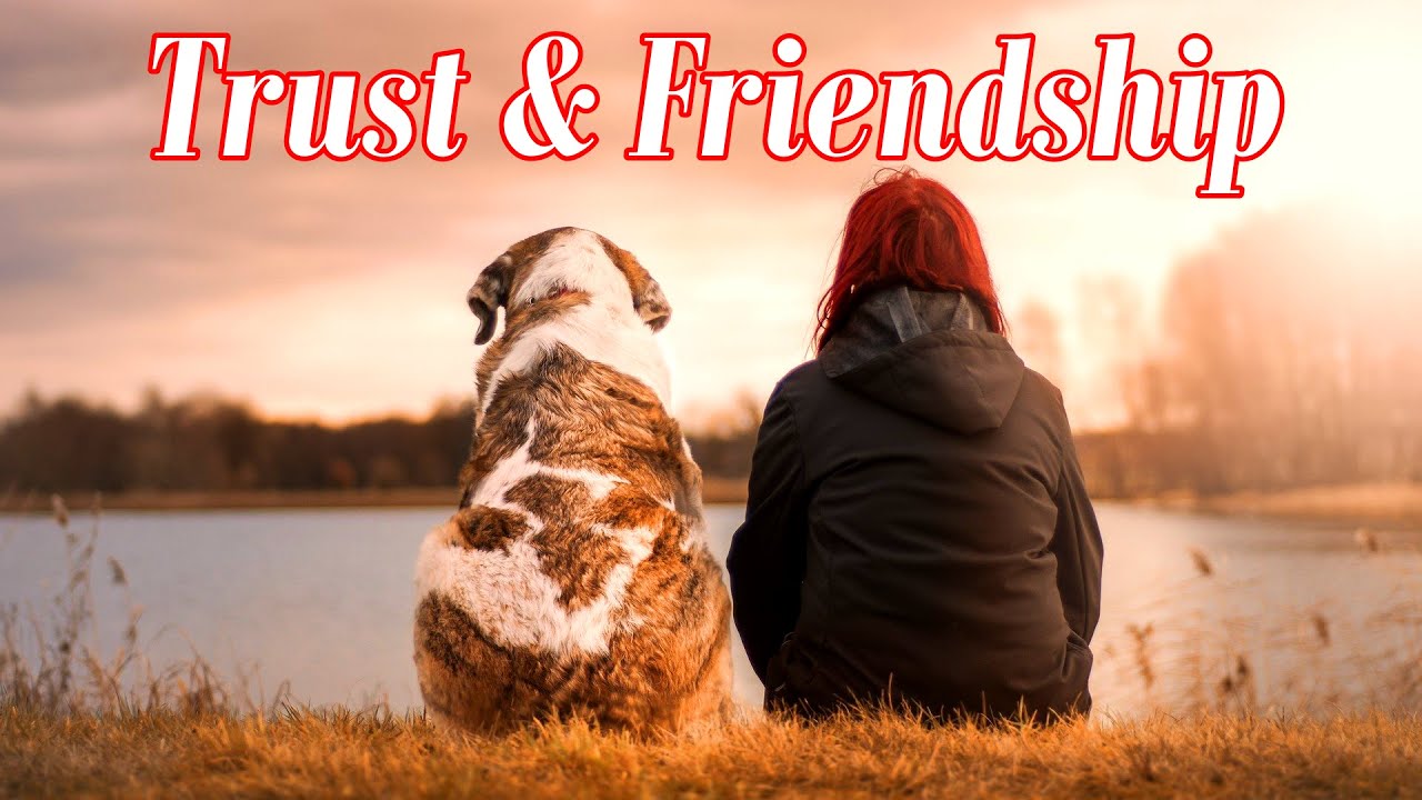 Trust And Friendship
