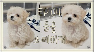 EP.04 등골 브레이커