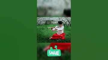 Awesome Chinese Flute Music #shorts #FluteMusic @TinyLotus