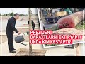 Daraxtkesar Mirziyoyev qanday daraxtsevarga aylandi?