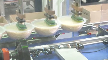 Ready meals case packing & palletising - Sewtec