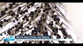 Jornal Liberal - Patente do Açaí - Defesa contra a biopirataria