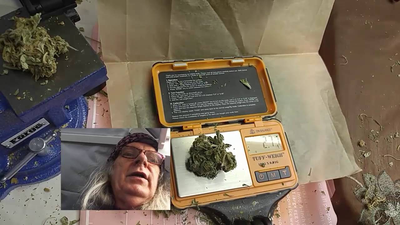 Prepressing Small Rosin Pucks My super simple Pre Press method YouTube